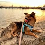 Seaport Village
