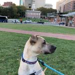 Independence Hall