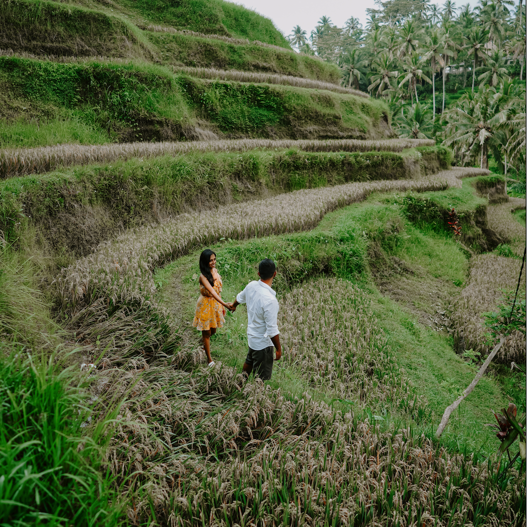 Tegalalang Rice Terrace, Bali 2018