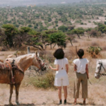 Canyon Horseback riding