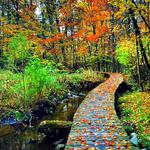 Blandford Nature Center