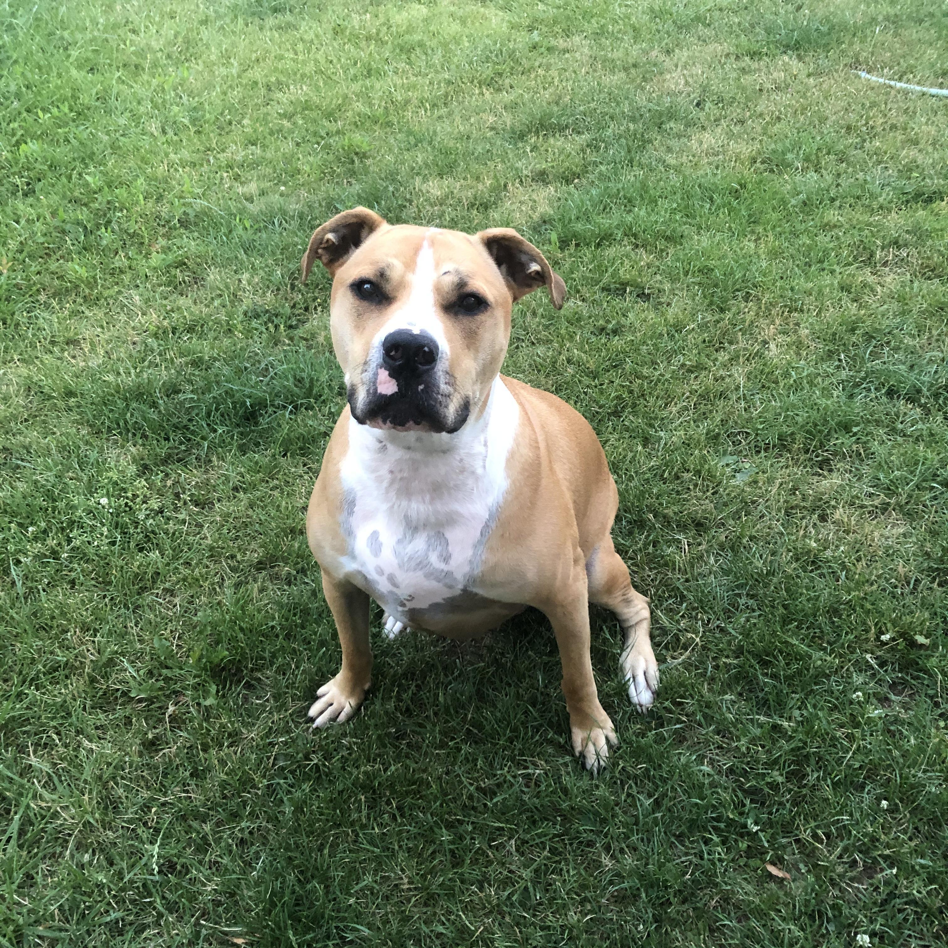 This is our dog Deagan, named after our first date restaurant!