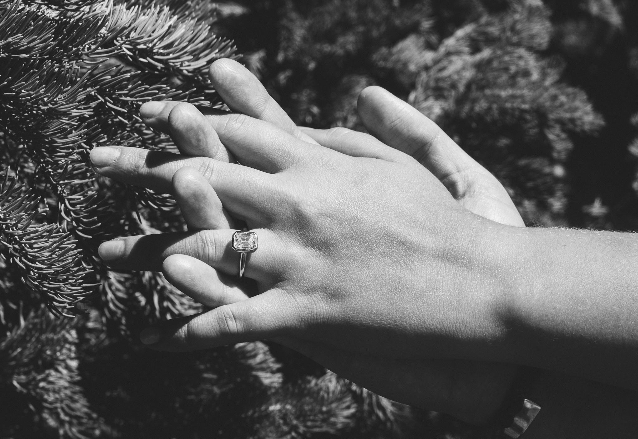 The Wedding Website of Hannah Battle and Isaiah Schenk