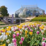 Phipps Conservatory and Botanical Gardens