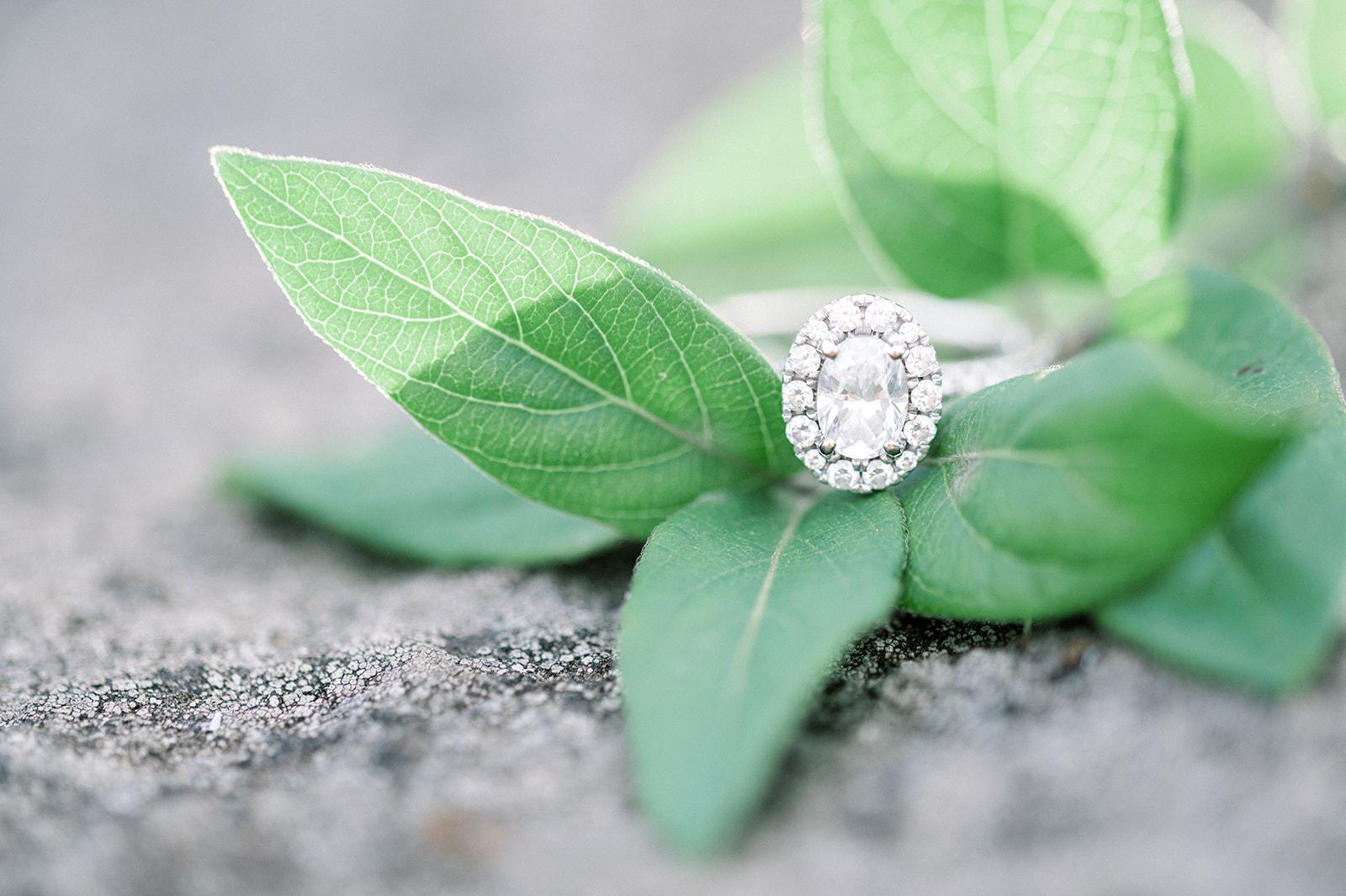 The Wedding Website of Paige Meier and Anthony Lafollette