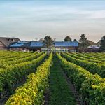 Newport Vineyards & Restaurant