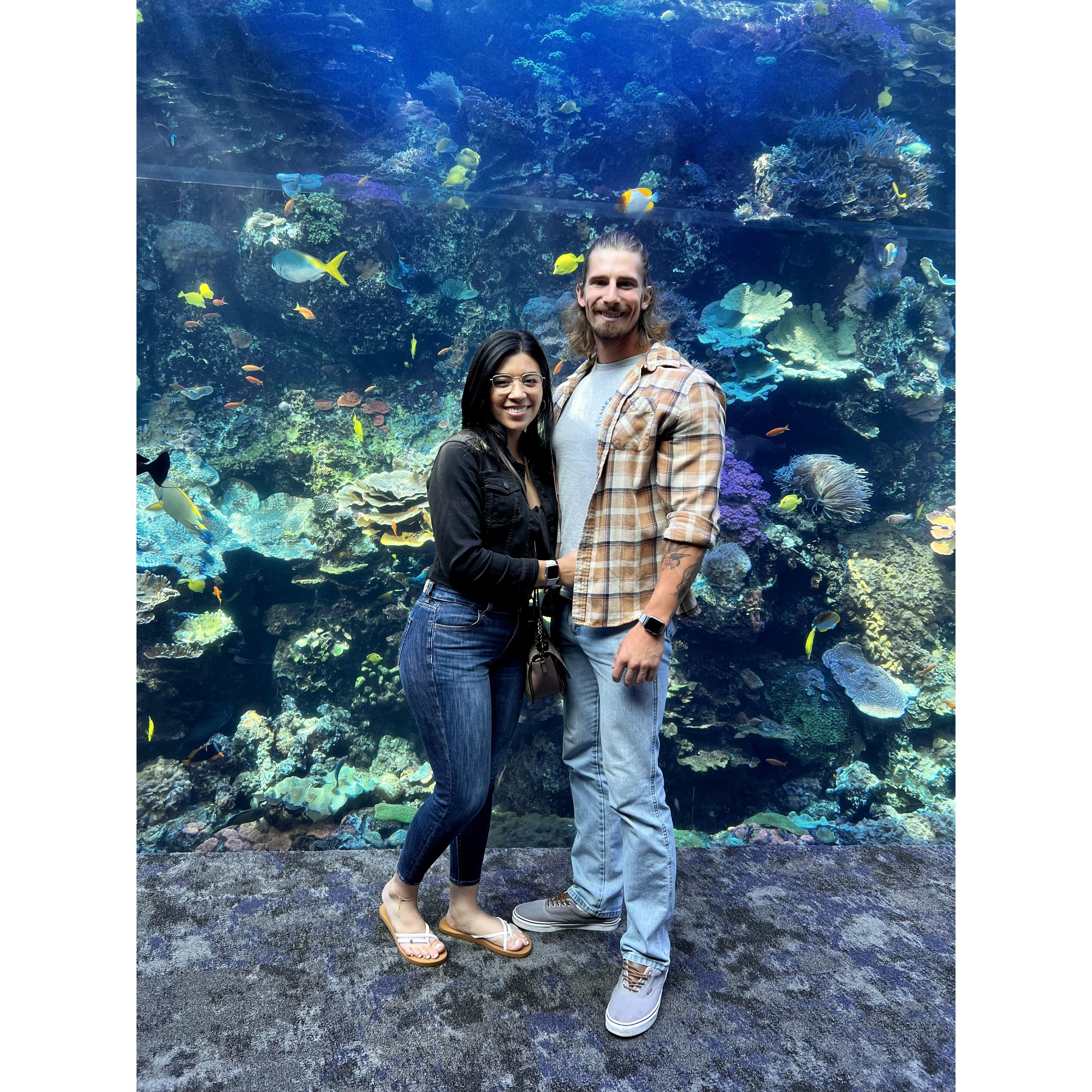 Our first visit to the aquarium