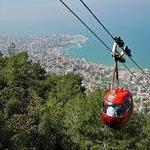 Harissa