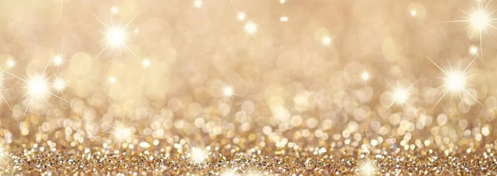 The Wedding Website of Selin Shirvanian and Robert Gallone