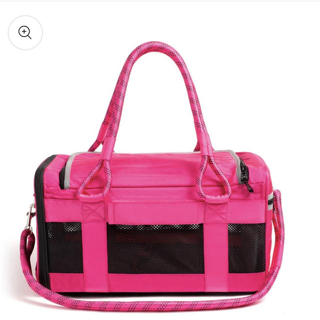 OUT-OF-OFFICE PET CARRIER PRO EDITION