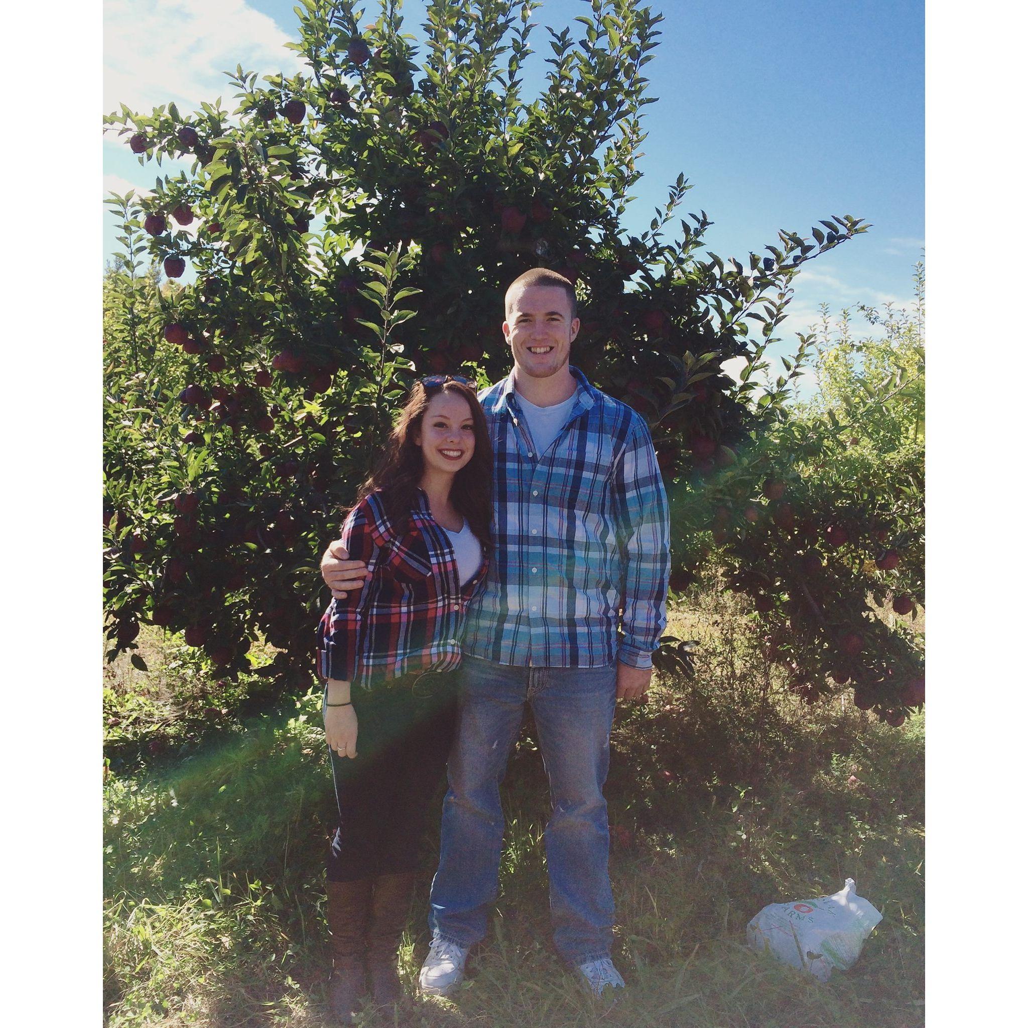 Apple picking in 2015🌲