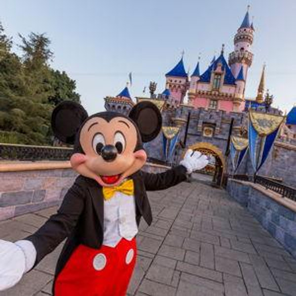 Honeymoon - Disneyland Magic