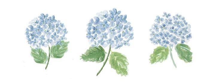 The Wedding Website of Tabitha Pearce and Luke Peters