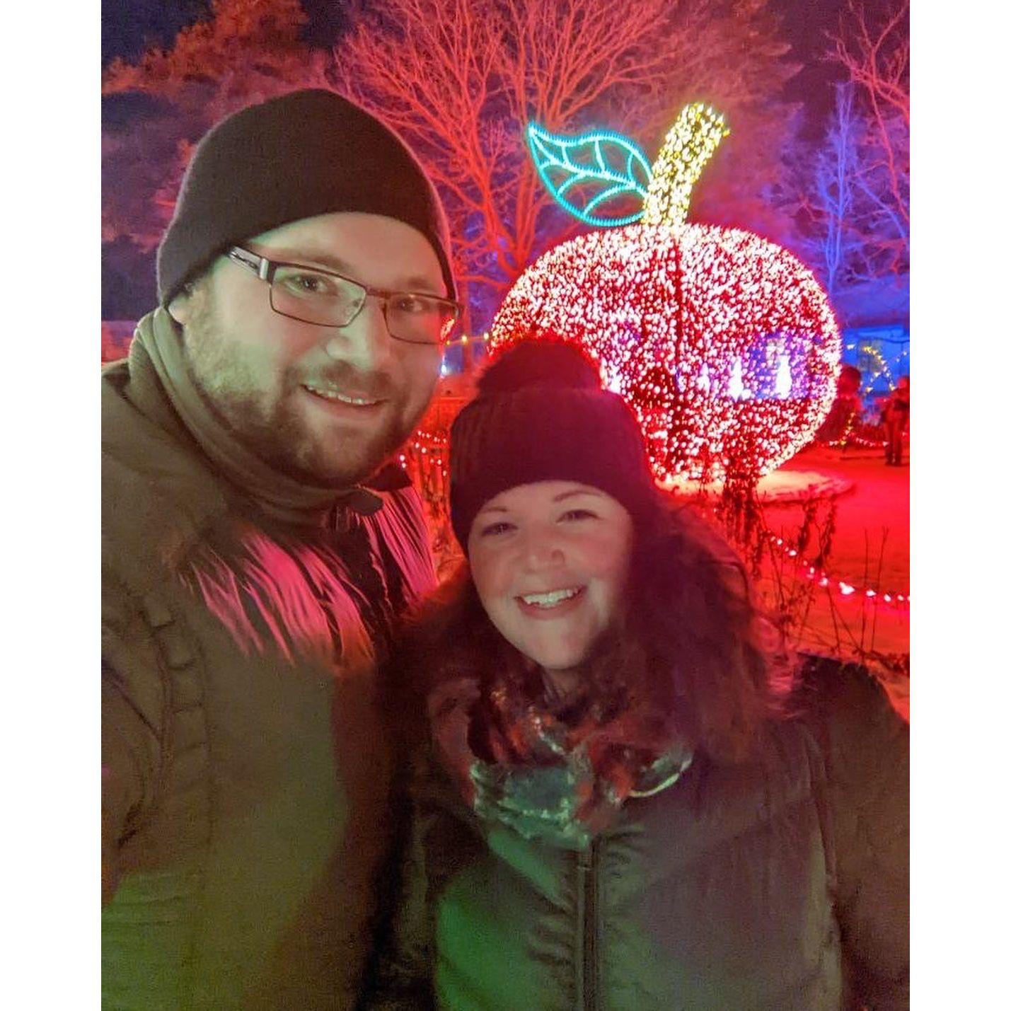 Lights at the Arboretum