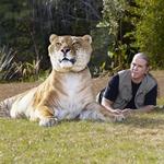 Myrtle Beach Safari