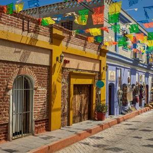 Help us explore Todos Santos!