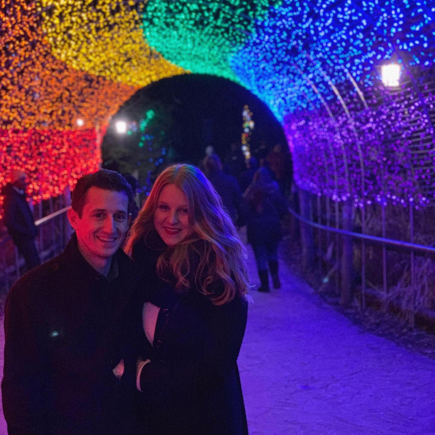 Festival of Lights! (Cincinnati Zoo)