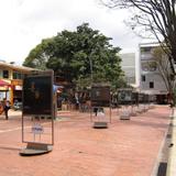 Zona T