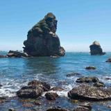Harris Beach State Park