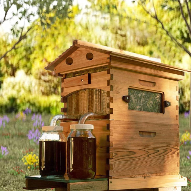 ACORNS Beehive Starter Kit Includes 7 Hive Frames, 1 Super Box and 1 Brood Box for Backyard Beekeeping Bees (Beeswax Coated).
