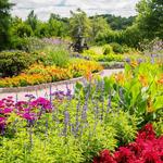 Minnesota Landscape Arboretum