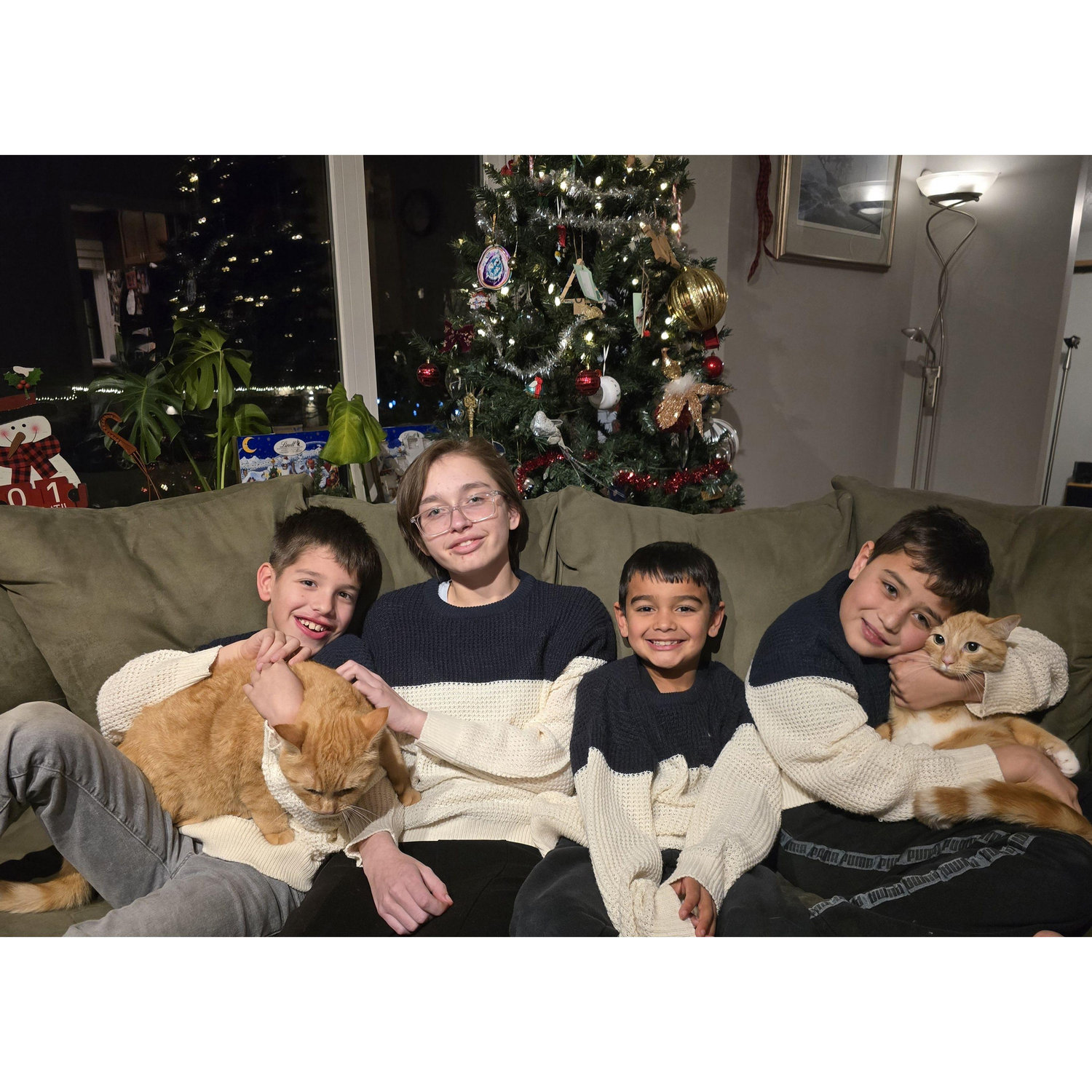 Our babies Christmas '24