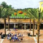 Audubon Zoo