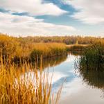 Cherry Creek State Park
