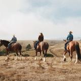 Horseback Riding