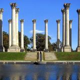 United States National Arboretum