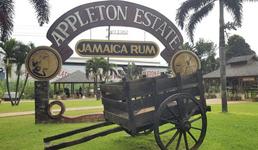 Appleton Estate