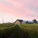 Newport Vineyards