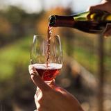 Grand River Valley Wine Region