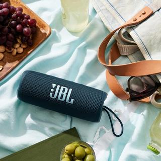 Flip 6 Portable Waterproof Speaker