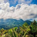 El Yunque National Forest