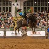 Stockyards Championship Rodeo