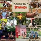 Panaca Quindio