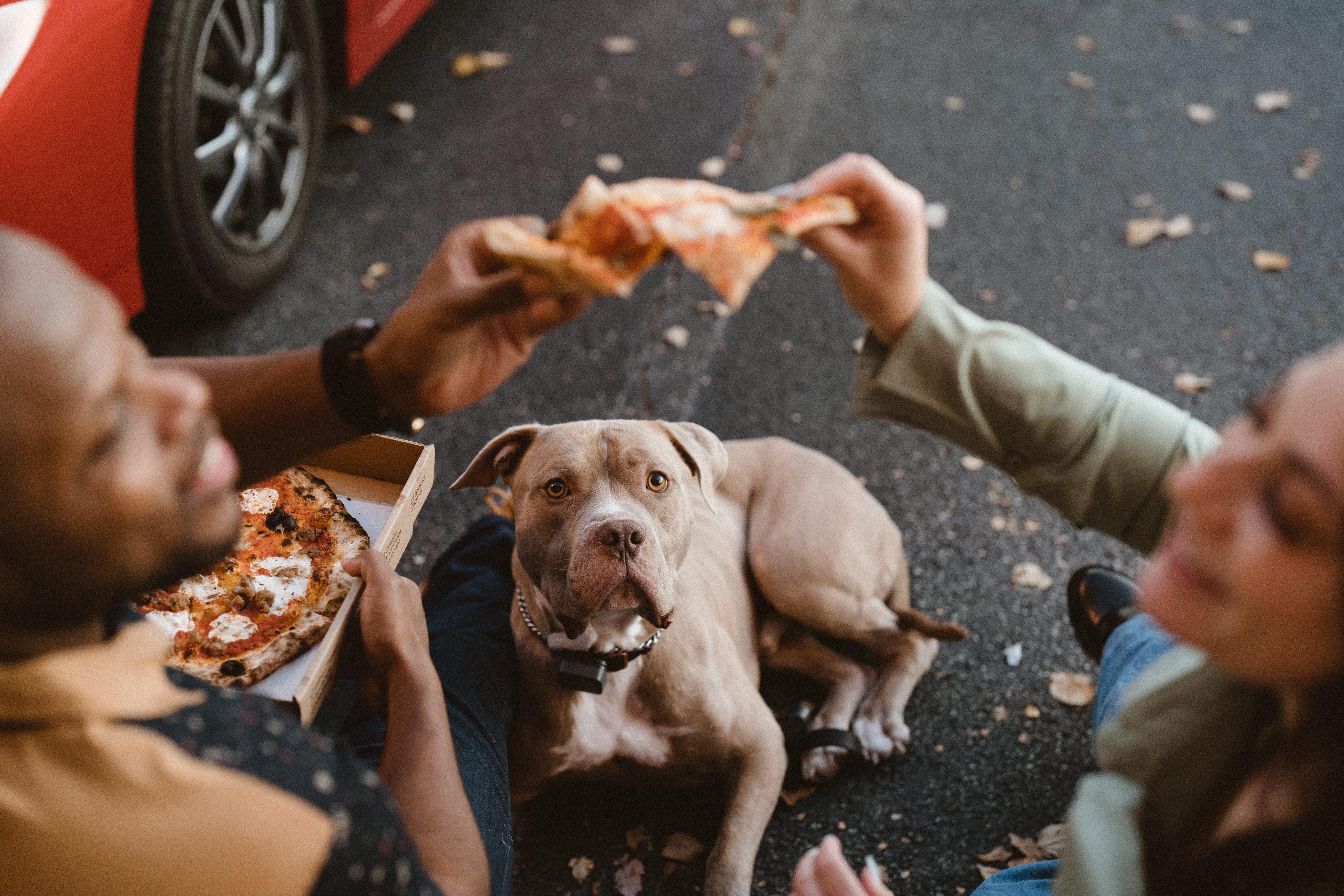 The Wedding Website of Becky Lerner and Elliott Johnson