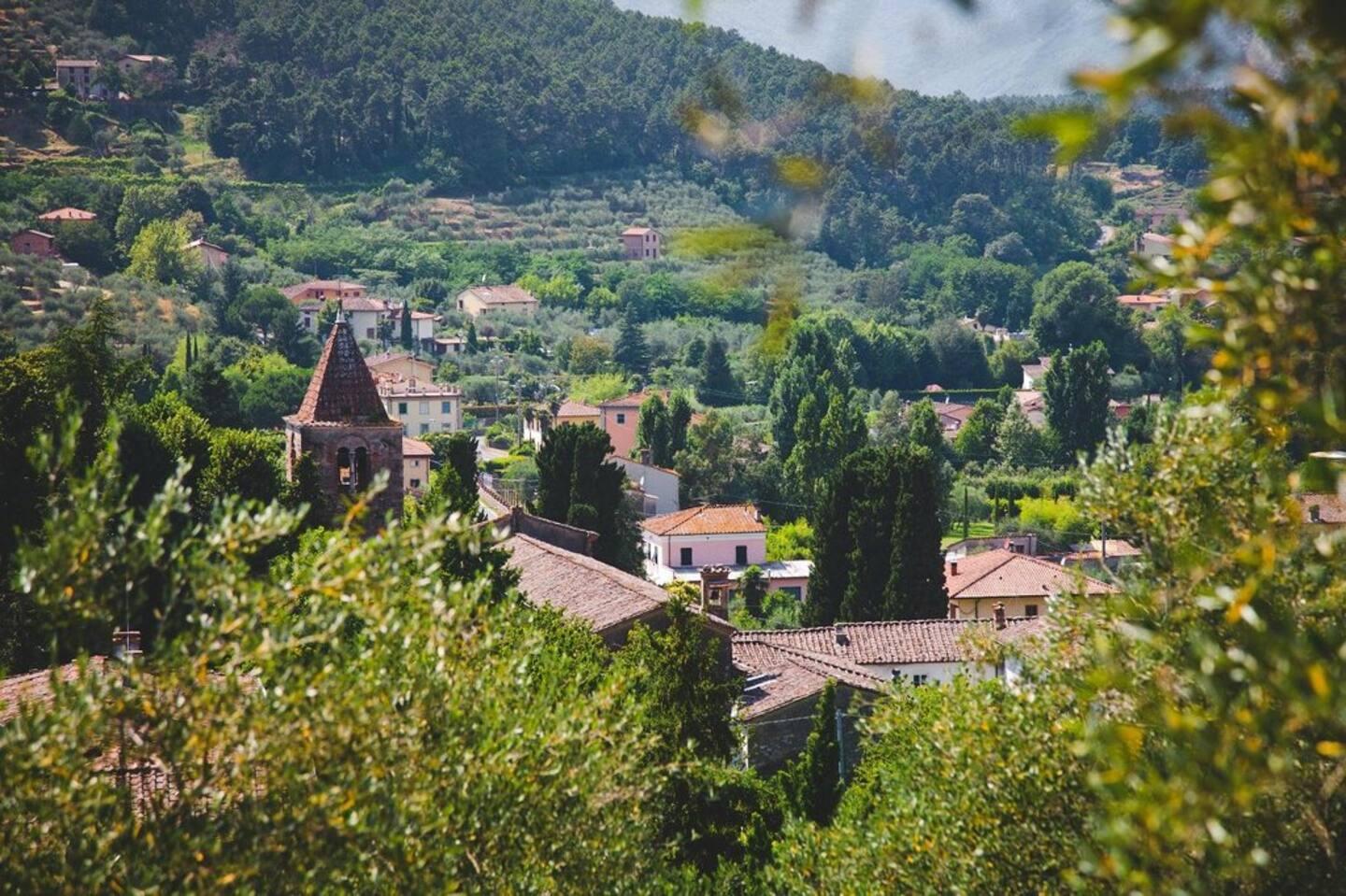 The Wedding Website of Paige Fallon and Brandon Flynn