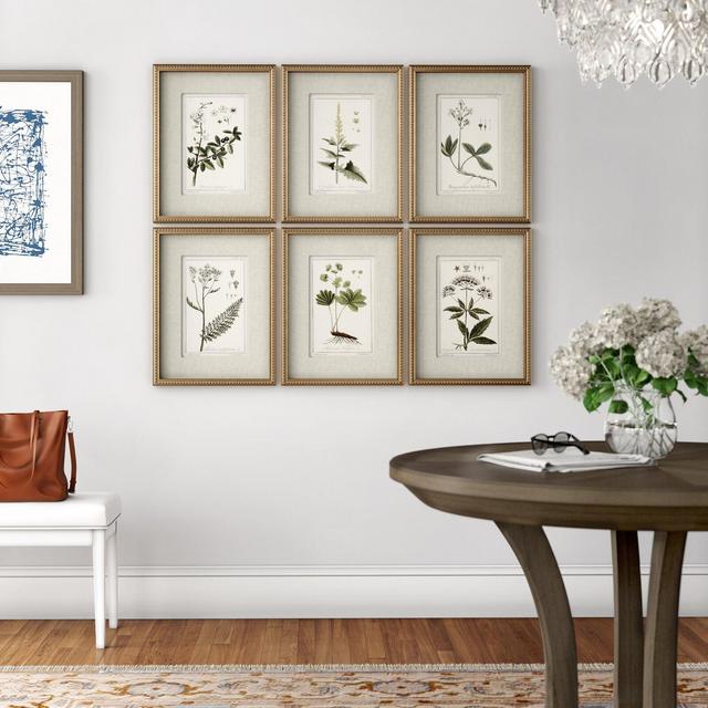 'Floral Botanical Study' by Grace Feyock - 6 Piece Picture Frame Graphic Art Print Set on Paper
