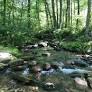 Frederick Municipal Forest