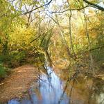Richland Creek Greenway - McCabe Trailhead