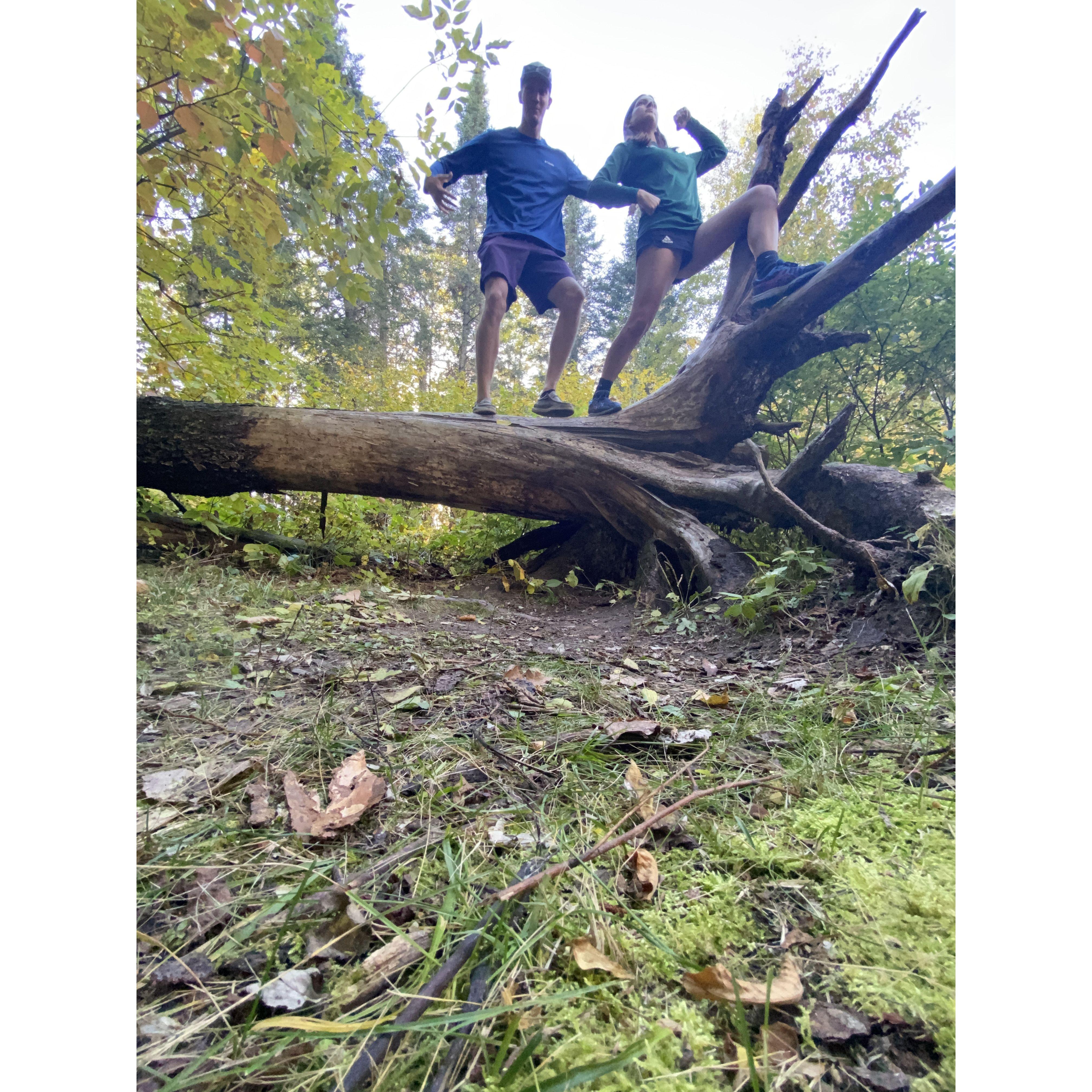 Just being Earth's mightiest heroes, no big deal