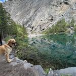 Grassi Lakes Trail