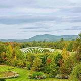 Cellardoor Winery