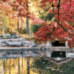 Lithia Park