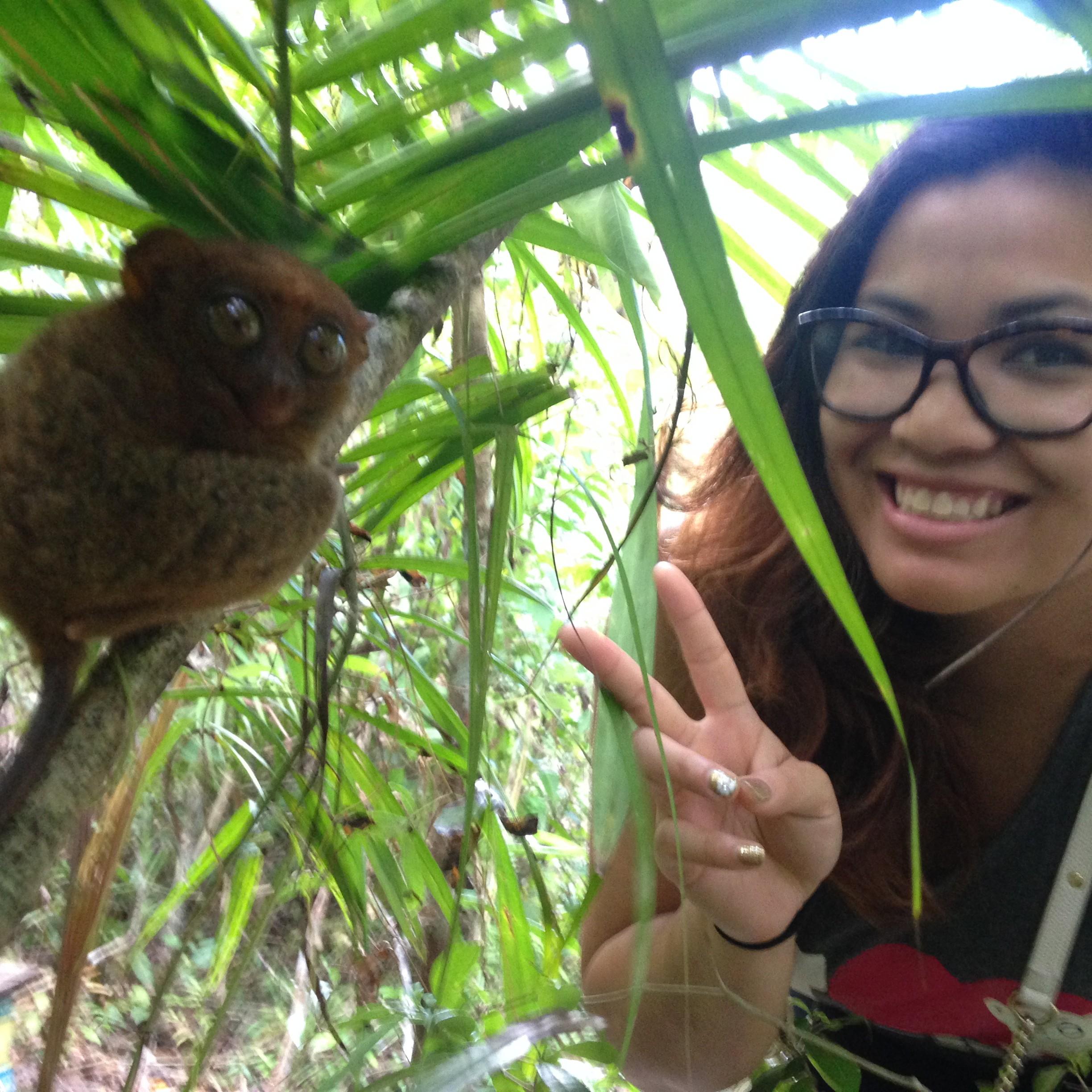 Visiting with an old friend, Filipino Tarsier.
Bohol, Philippines
