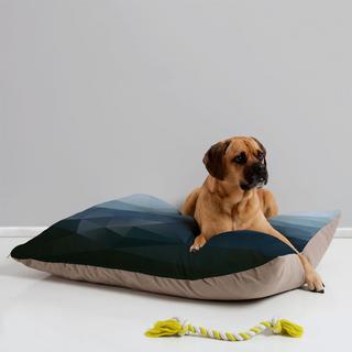 First Light Pet Bed