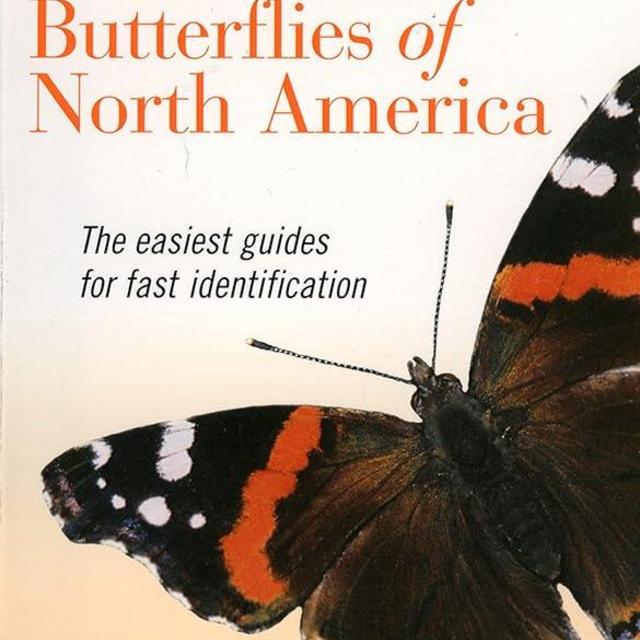 Kaufman Field Guide To Butterflies Of North America (Kaufman Focus Guides, 0)