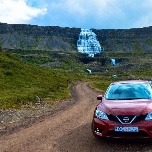 Car Rental
